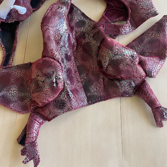 Animal Planet T-Rex & Triceratops Dino Dinosaur Dog Halloween Costume - Size Med - Picture 6 of 12